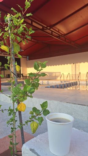 A photograph of Al Reef Oasis Rest house