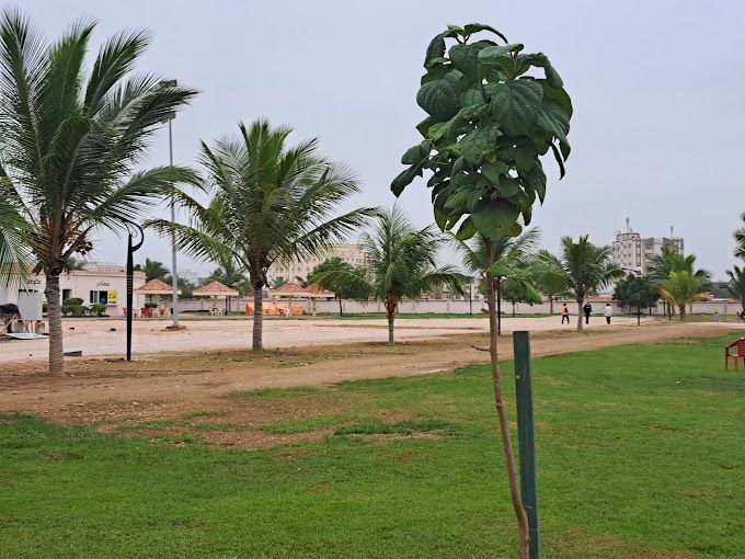 A photograph of Awqad Public Park (Kiddy Time)