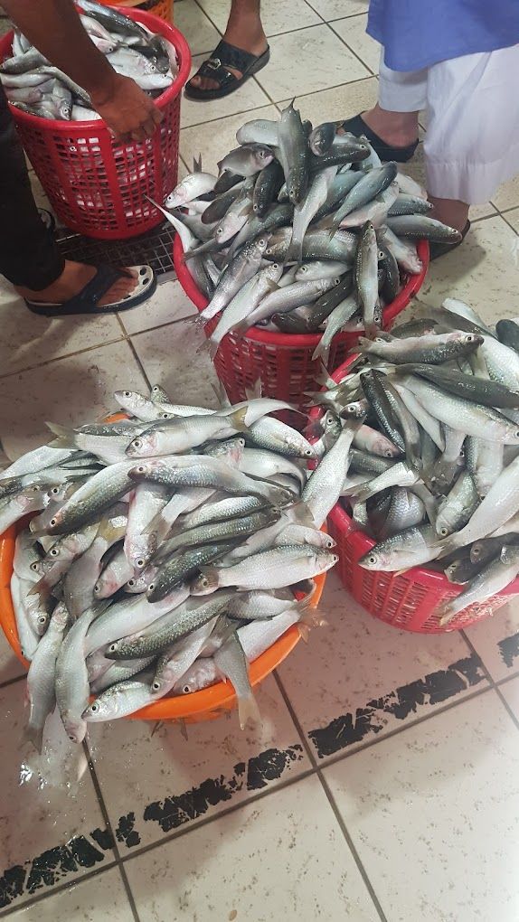 Kuwaiti market for fresh fish