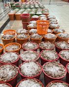 Kuwaiti market for fresh fish
