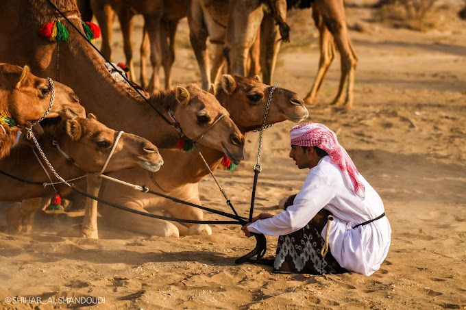 Al Dhahirah Tourism Festival