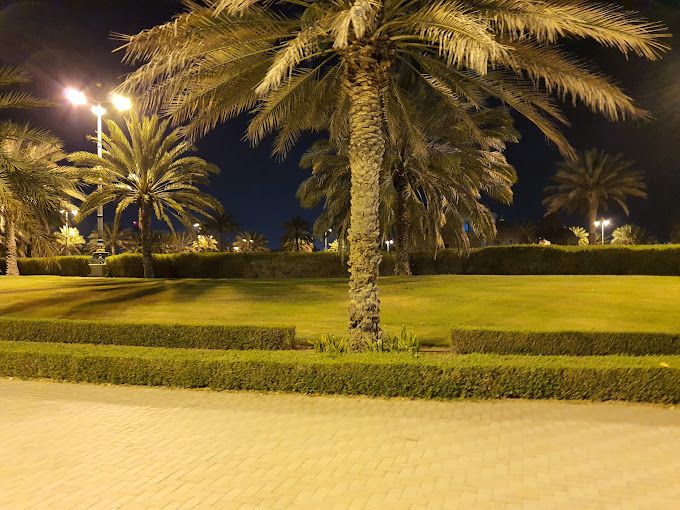 صورة لـ Awakening Gardens Park